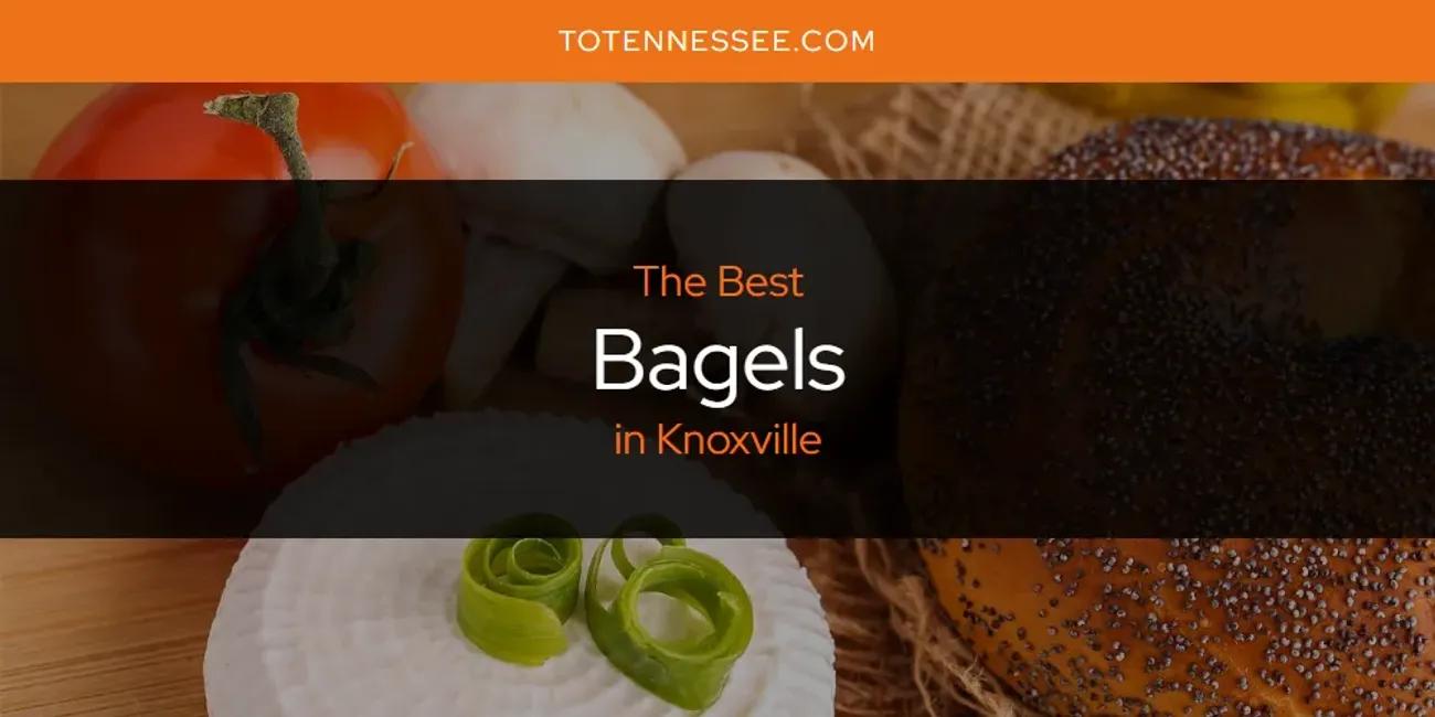 Knoxville's Best Bagels [Updated 2024]