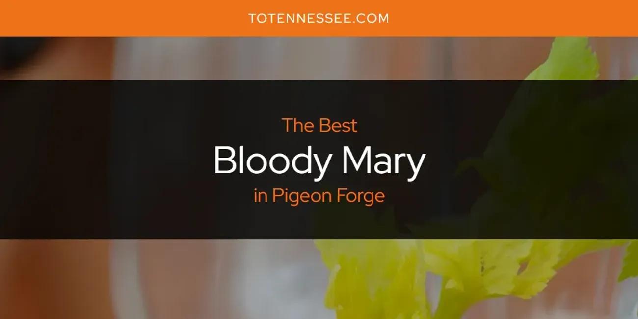 Pigeon Forge's Best Bloody Mary [Updated 2024]