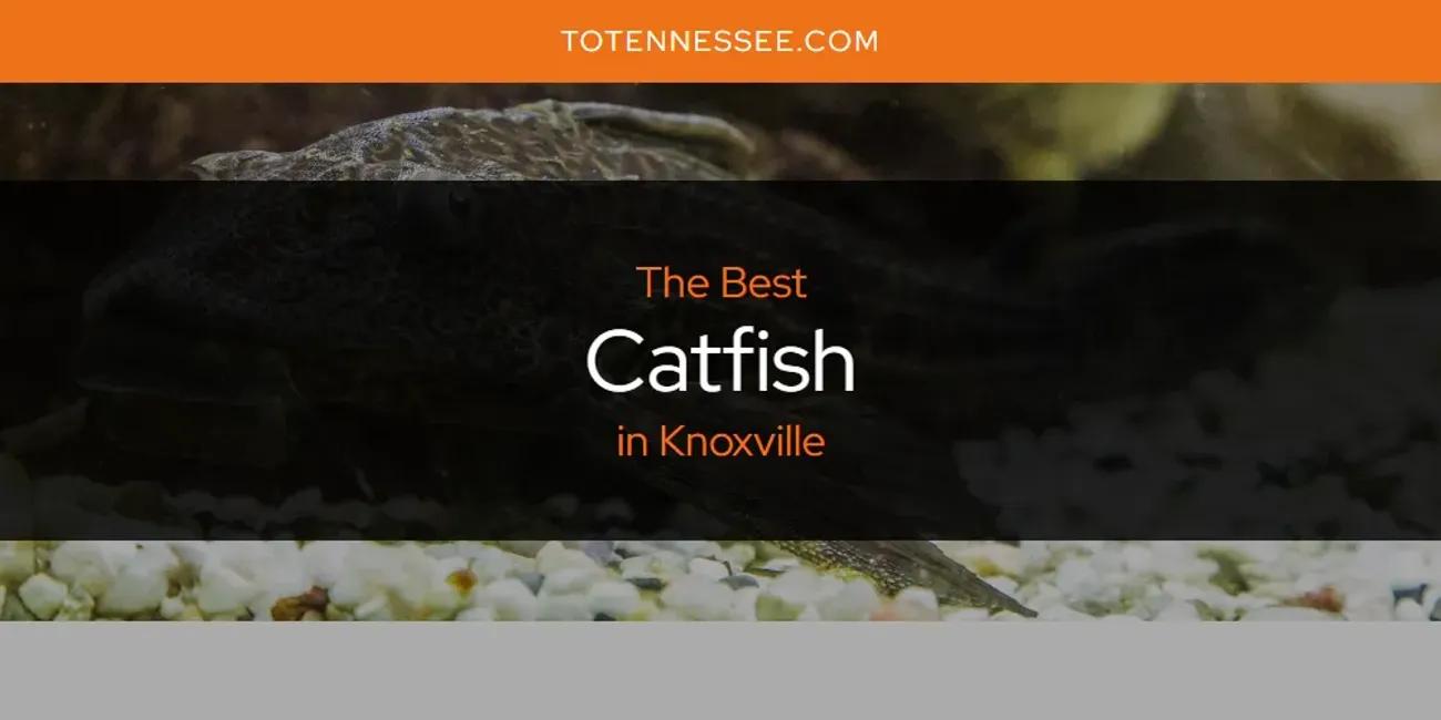 Knoxville's Best Catfish [Updated 2024]