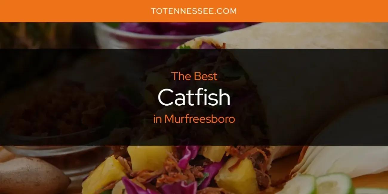 Murfreesboro's Best Catfish [Updated 2024]