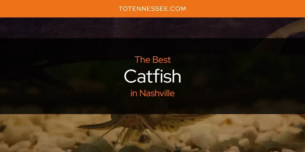 The Absolute Best Catfish in Nashville  [Updated 2024]