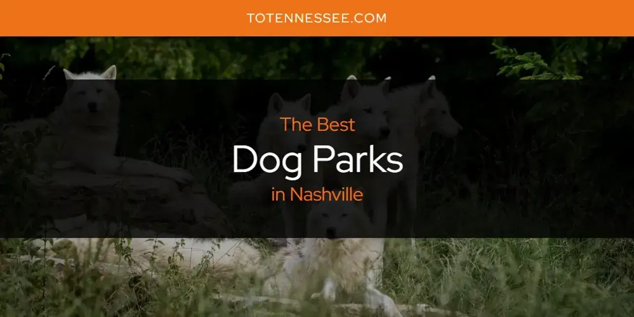 The Absolute Best Dog Parks in Nashville  [Updated 2024]