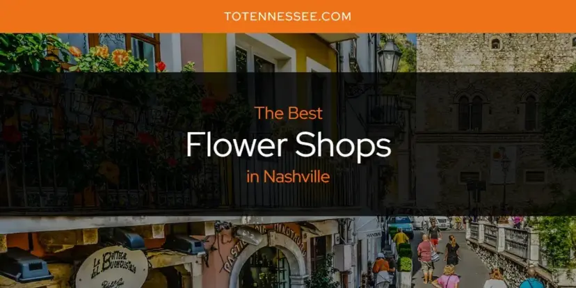 The Absolute Best Flower Shops in Nashville  [Updated 2024]