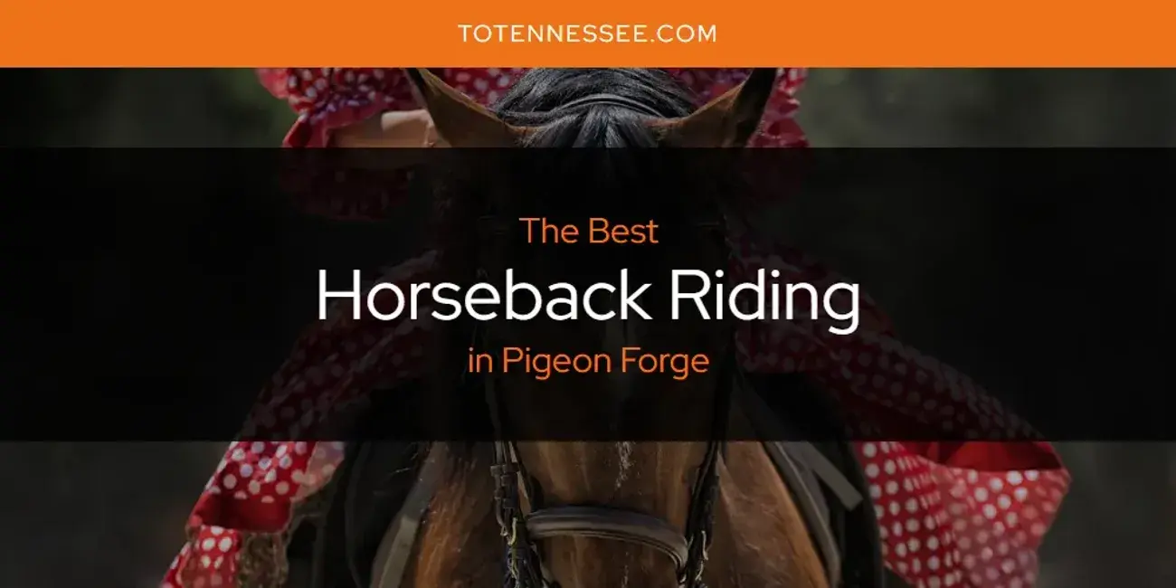 The Absolute Best Horseback Riding in Pigeon Forge  [Updated 2024]