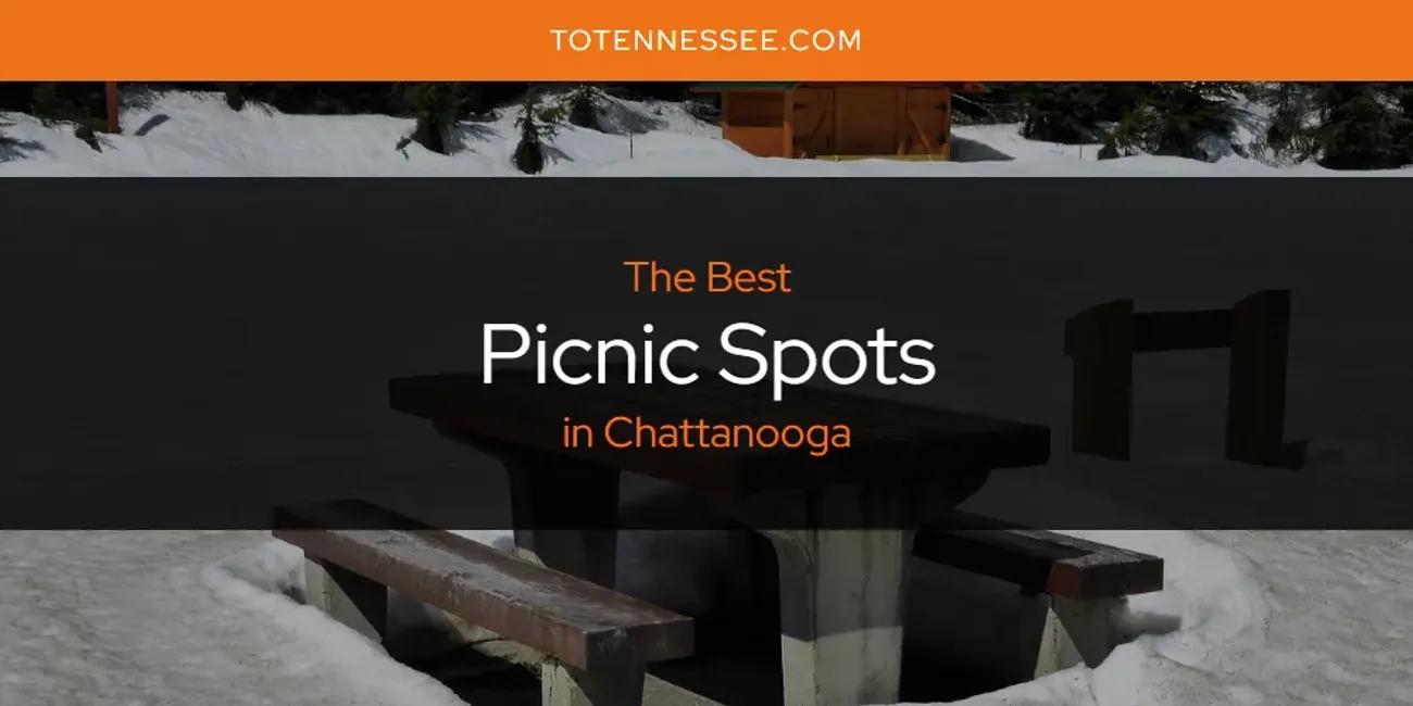 The Absolute Best Picnic Spots in Chattanooga  [Updated 2024]