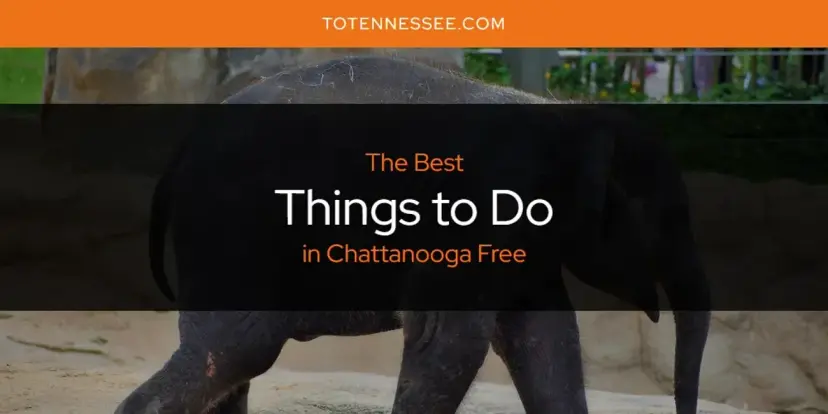 Chattanooga Free's Best Things to Do [Updated 2024]