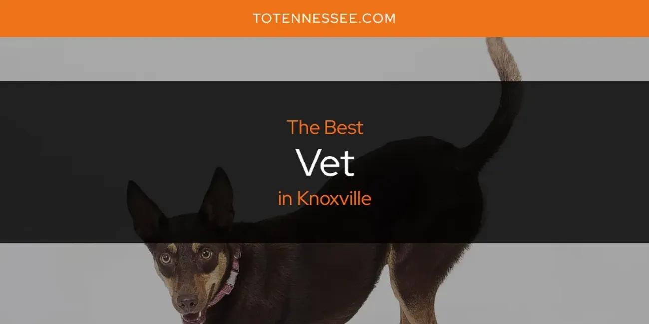 Knoxville's Best Vet [Updated 2024]