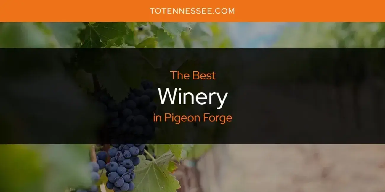 Pigeon Forge's Best Winery [Updated 2024]