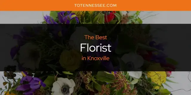 The Absolute Best Florist in Knoxville  [Updated 2024]