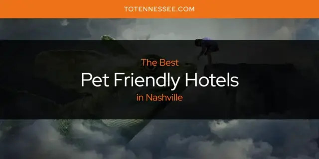 Nashville's Best Pet Friendly Hotels [Updated 2024]