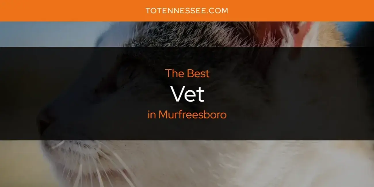 Murfreesboro's Best Vet [Updated 2024]