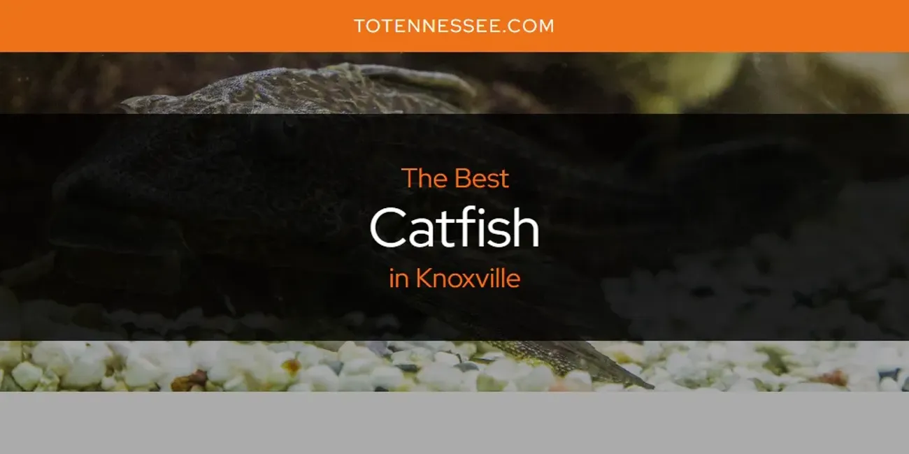 Knoxville's Best Catfish [Updated 2025]