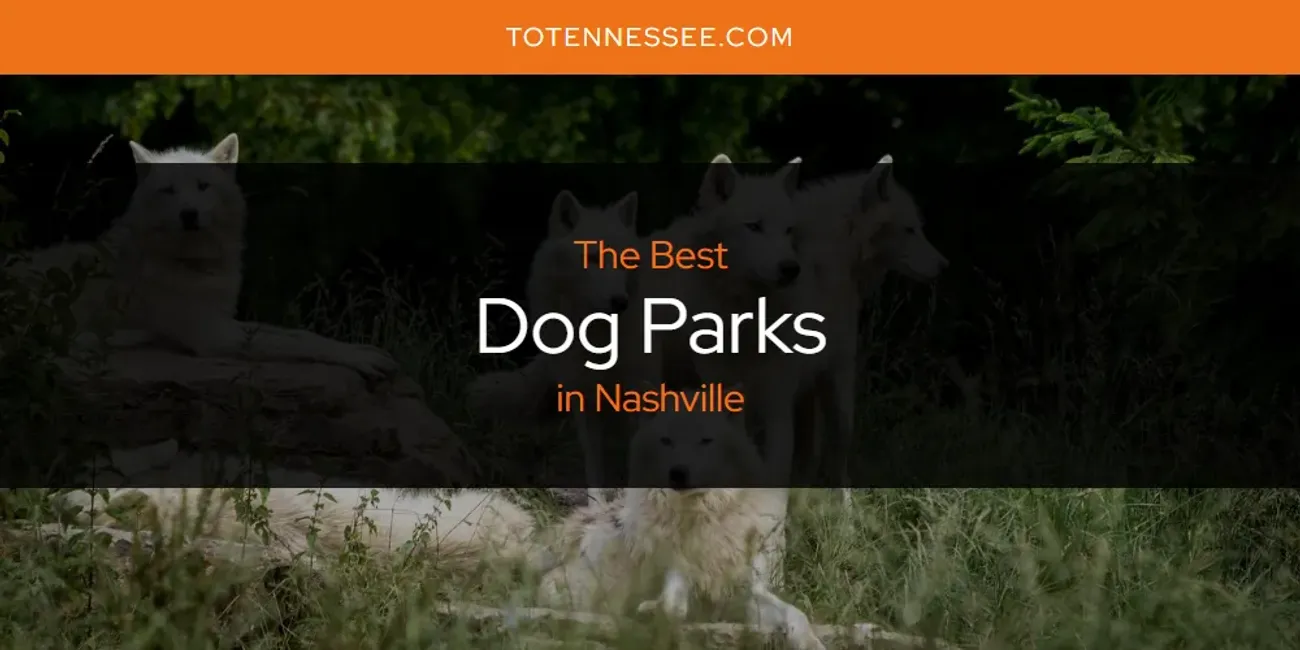 Nashville's Best Dog Parks [Updated 2025]