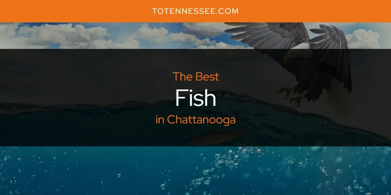 The Absolute Best Fish in Chattanooga [Updated 2024]